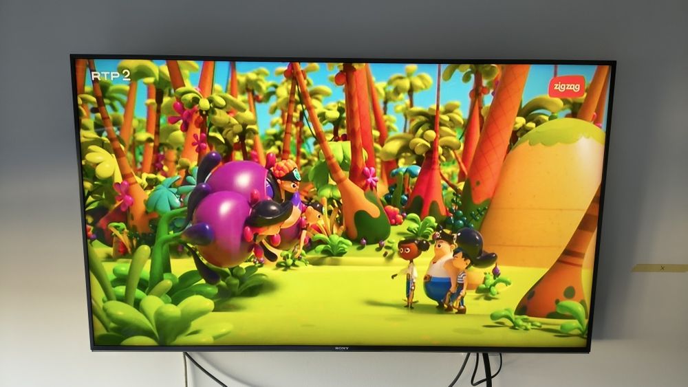 TV Sony KD-49XF9005 de 49",