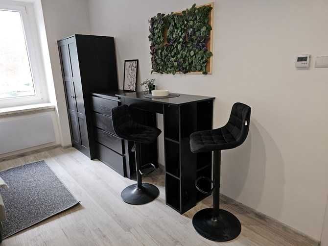 Katowicka 2, Podgórze, przyjazne zwierzętom studio, BRAK PROWIZJI