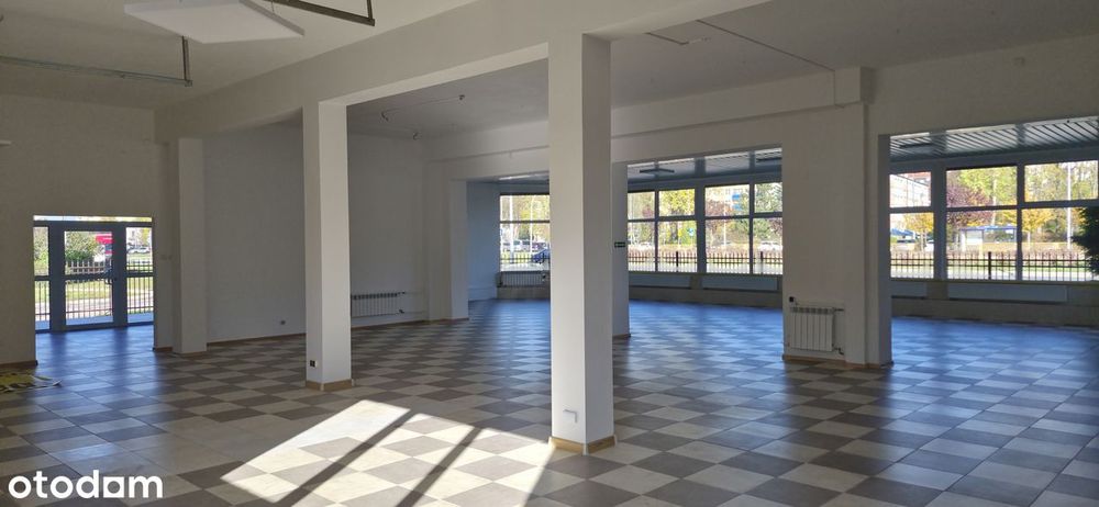 lokal do wynajęcia