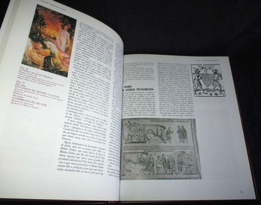 O Grande Livro do Vinho J. Duarte Amaral Temas e Debates