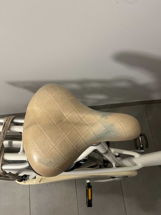 Wiosenny rower holenderski Batavus