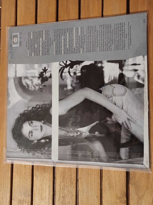 Discos Vinil Gloria Estefan