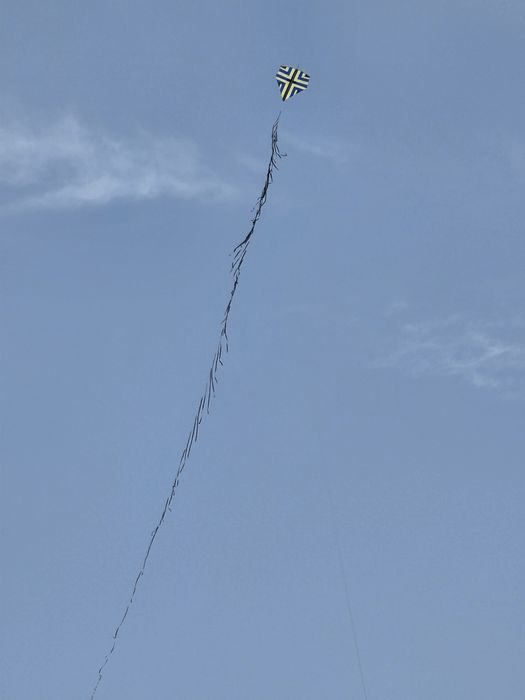 Pipas - papagaio - raia - raias com linha 10 corrente