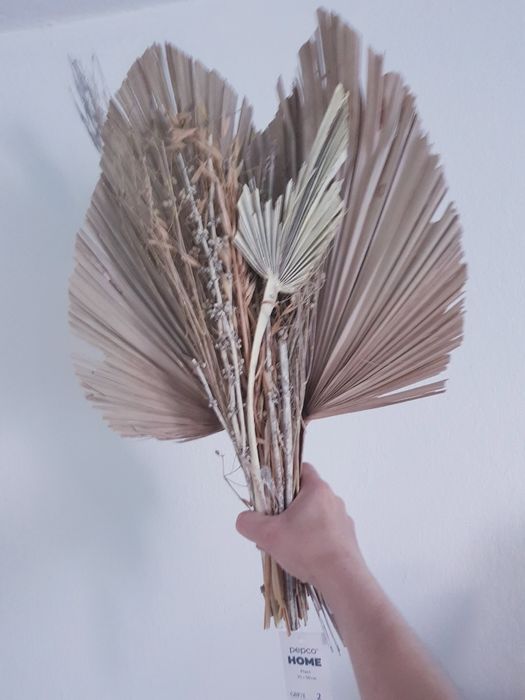 Nowe Suszone kwiaty dekoracja marki Pepco 4 sztuk