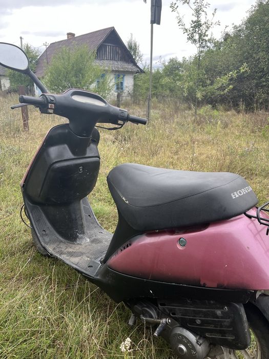 honda tact af-16