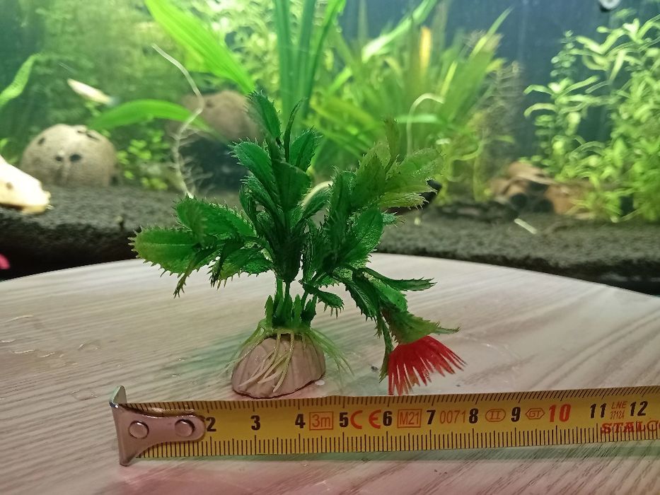 Sztuczne rośliny do akwarium