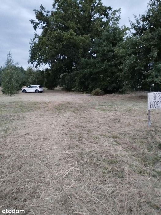 Trzy Działki w Żłobnicy, gmina Kleszczów - Widok 2