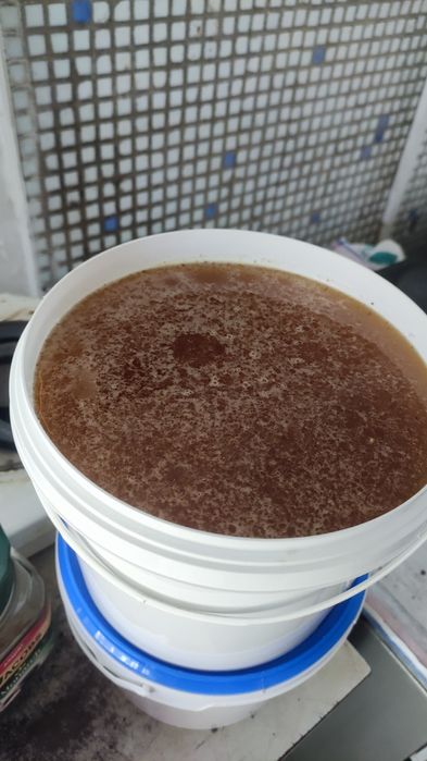 Мед 2025 соняшник різнотрав'я