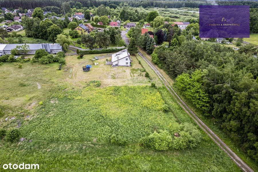 OKAZJA!!!/Działka 2000 m²/Kobylanka/NAJNIŻSZA CENA W OKOLICY - View 4