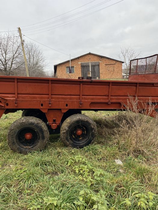 Роу 6 доглянутий