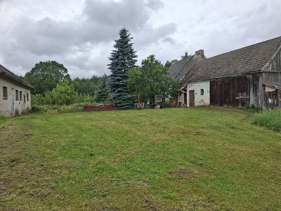 Dom w lesie, siedlisko ,dzialka