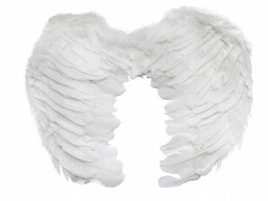 Skrzydełka Cherubina aniołka anioła  45 x 35 cm strój Jasełka karnawał