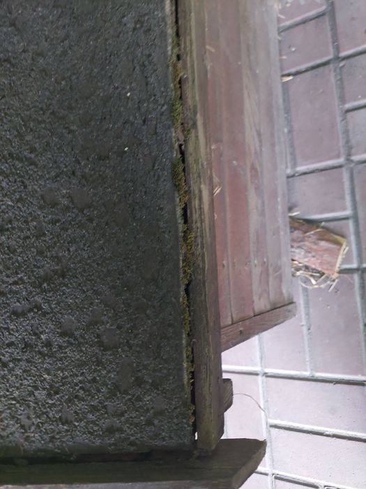 Buda dla psa 72cmdł.