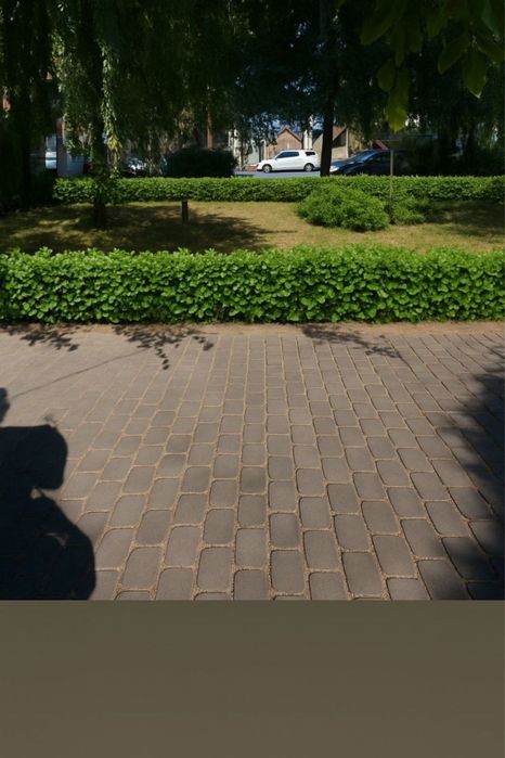 Послуги садівника Садівник посадка живоплоту , жива огорожа