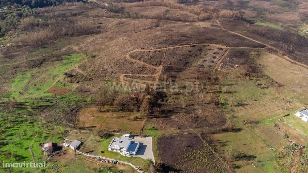 Terreno / Seia, Torrozelo e Folhadosa
