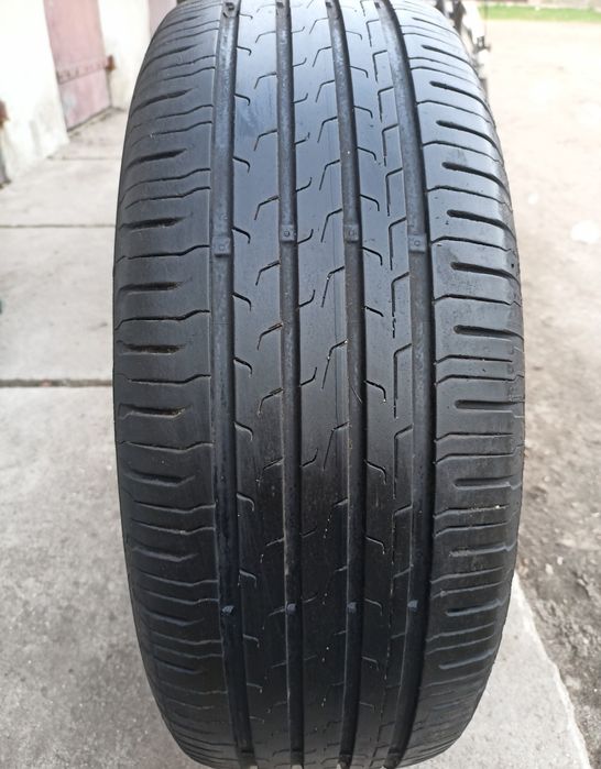 Opony Continental Eco contact 6