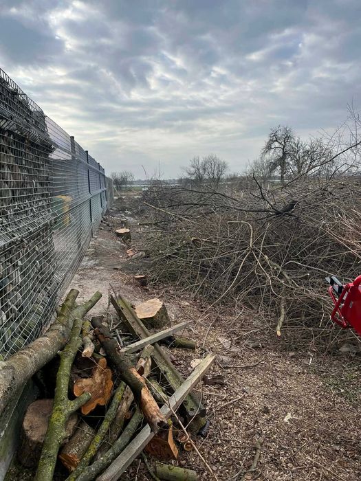 Wynajem Rozdrabniacz do Gałęzi 7KM | Rębak Spalinowy