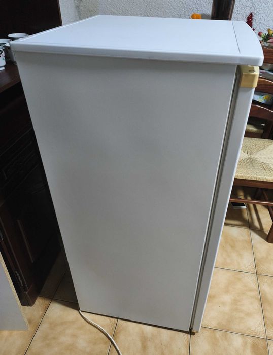 Frigorífico Vertical Gralux TOP Line – 200 L (Funciona 100%)