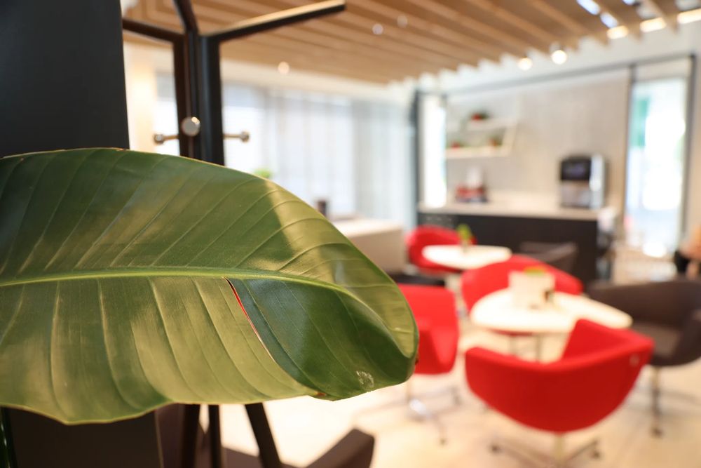 business-site-gallery-photo