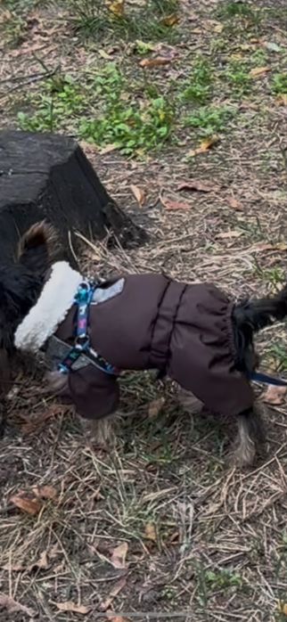 Курточка для щенка