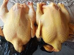 Бройлер тушка від 10 шт