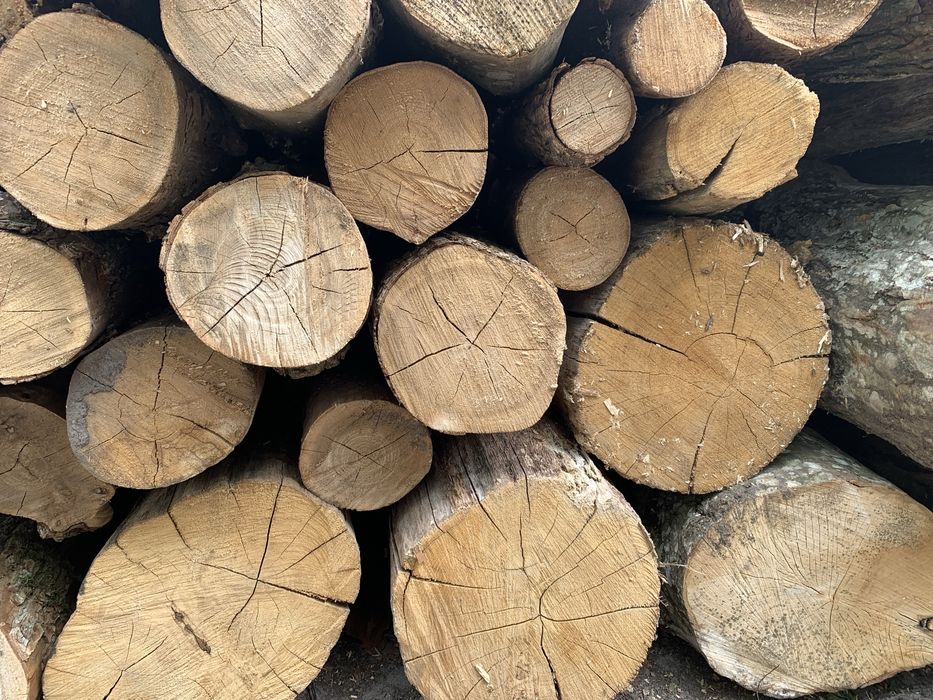 Соснові дрова 1300