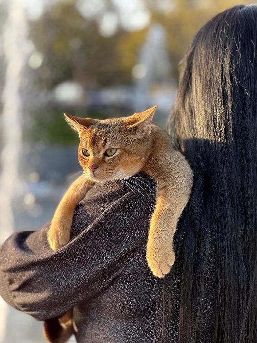 Шикарный ,нежный и ласковый мальчик