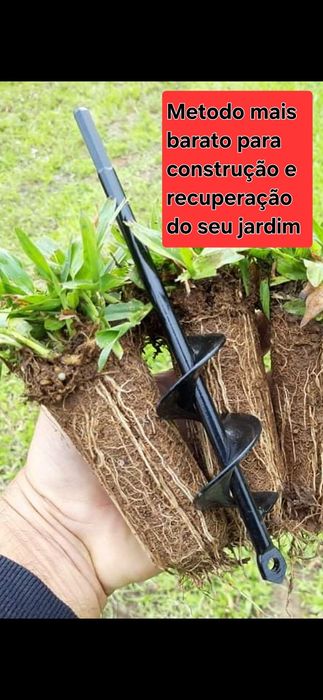 Graminha brasileira (VENDEMOS UMA SOLUÇÃO)