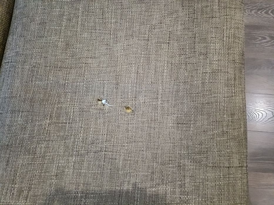 Продам диван   Б/у