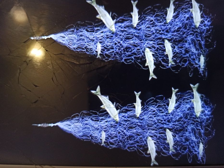 Сетка для птиц 12/3 метра