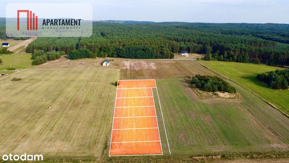 Promocja 100 tyś.! Kaszowo! Przy Lesie!