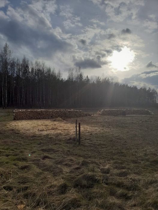 Drewno kominkowe opał każdy gatunek