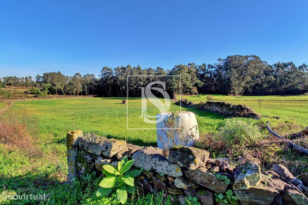 Terreno  Venda em Laundos,Póvoa de Varzim — Laúndos, Porto