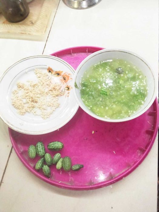 мелотрія колібрі-насіння,розсада