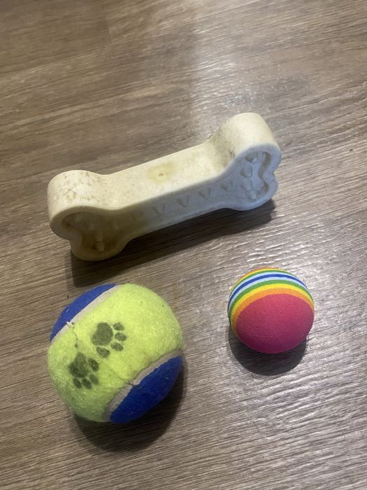 Миски для собак, кошек, когтерез, кусачки, игрушки