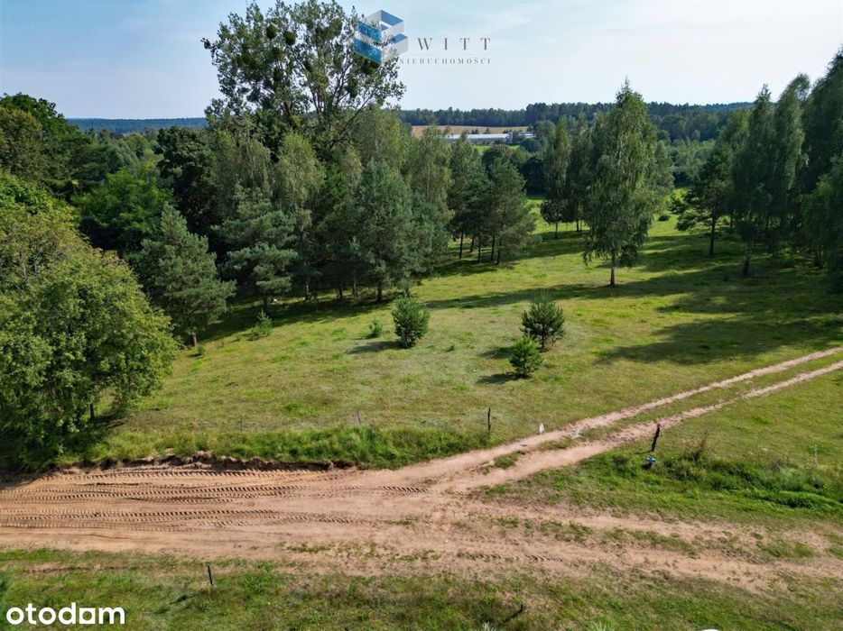 Widokowe działki pod lasem i blisko do plaży !