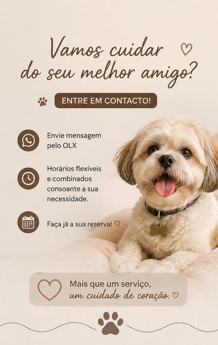 Pet sitting & dog walking em Braga