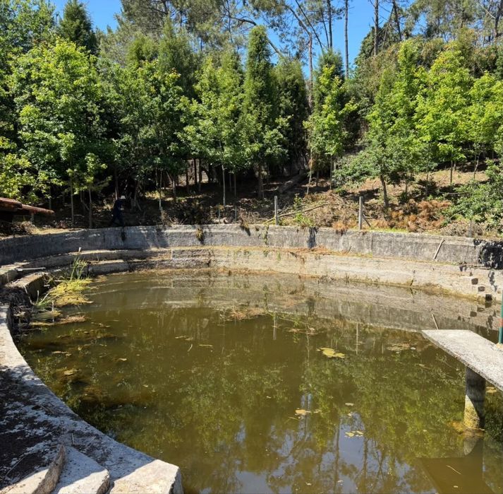 Jardinagem e Limpeza de Terrenos - Aveiro e região