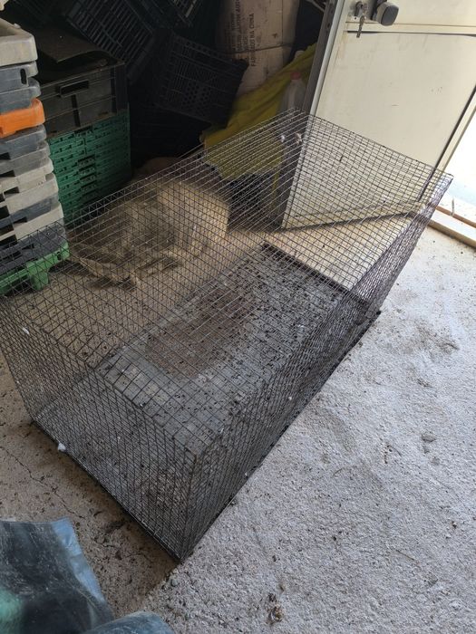 Gaiola para coelho, chinchila etc