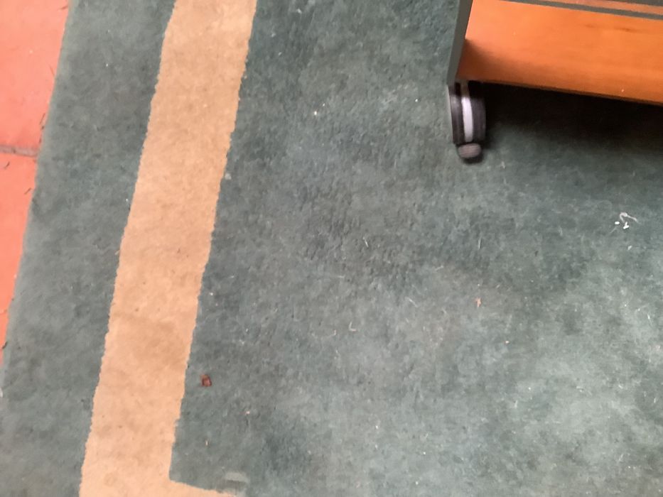 Móvel TV e Multimédia