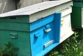 Продам вулики з бджолами, рамки та інше  приладдя для бджільництва