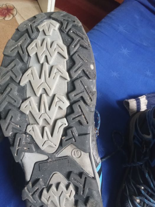 Красівки філа весна осінь, нормальний стан