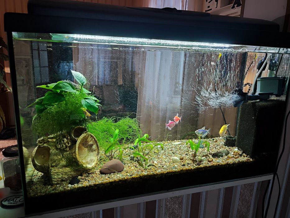 Акваріум з усім наповненням 80л