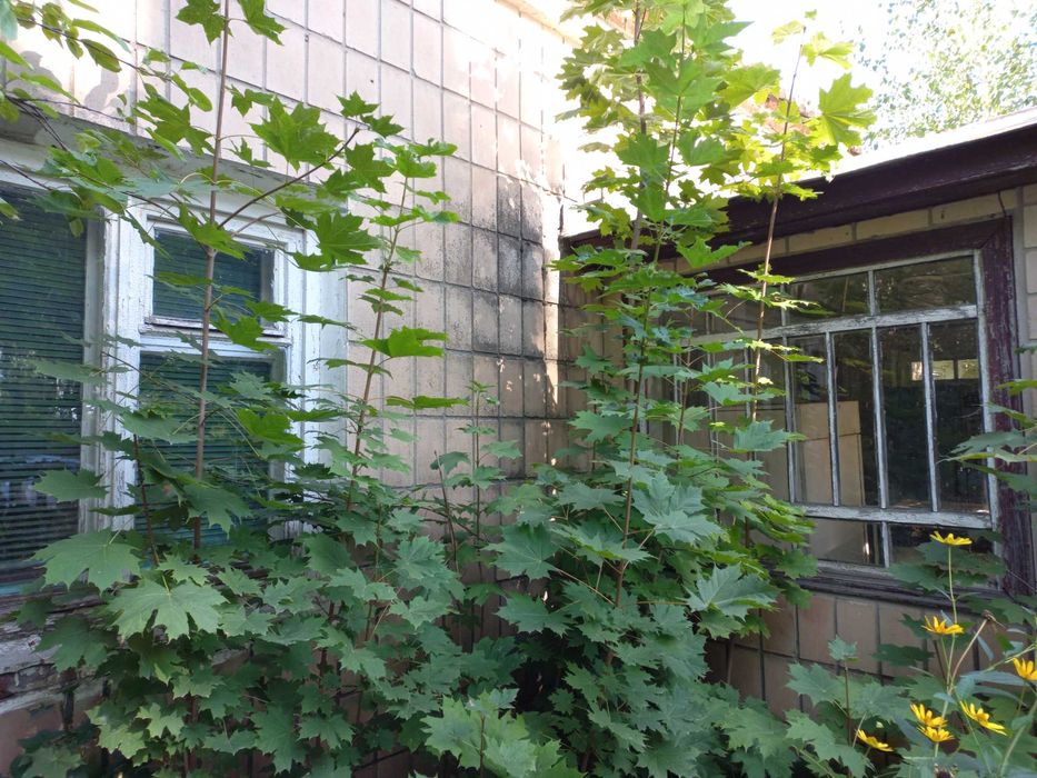 Нежитлові будівлі, площею 101,6 кв.м, Чернігівська обл, м.Ічня