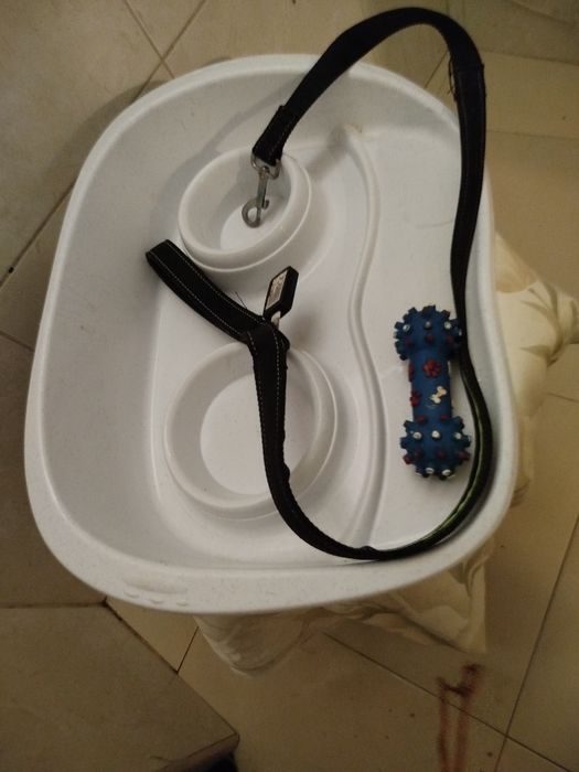 Conjunto trela retrátil bandeja, brinquedo