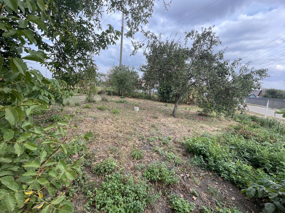 Продам будинок з участком с.Нізгірці