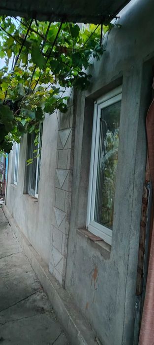 Сдам свой дом в с. Алесандовка