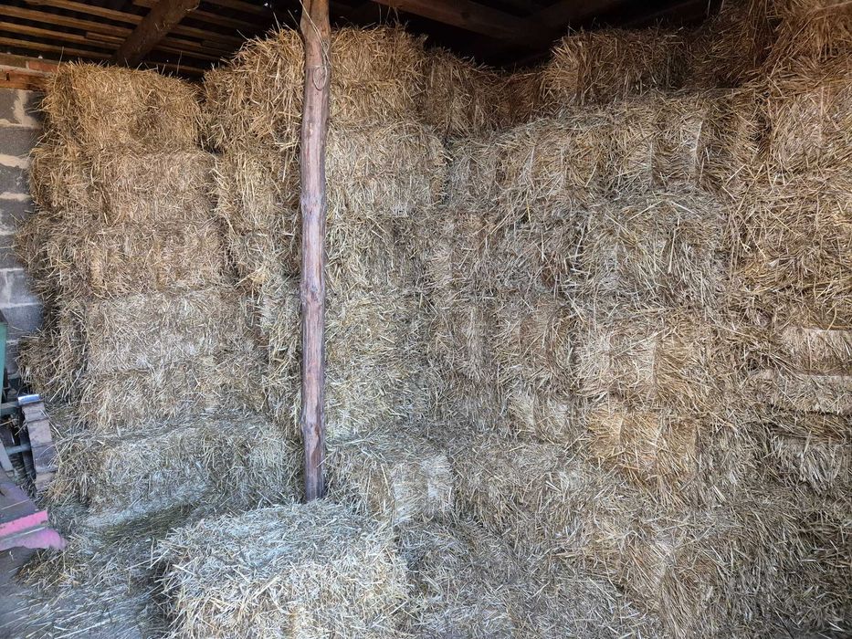 Sprzedam kostki słomy