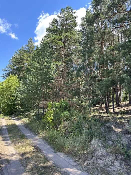 *Продаж земельної ділянки 25 соток у с.Хацьки.