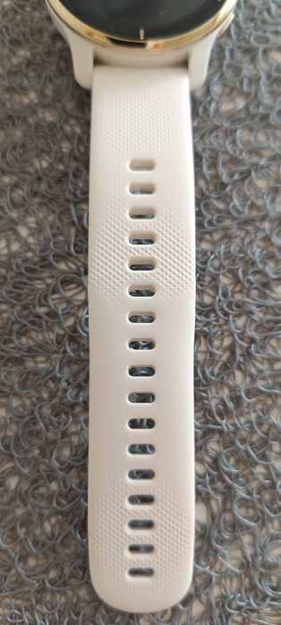 Garmin Venu 2 Plus